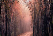 股票账户怎么加杠杆:股票软件app排名前十-上市券商分红热情高！22家连续两年中期分红